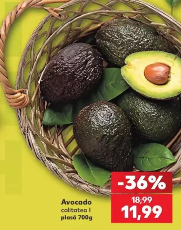 Avocado