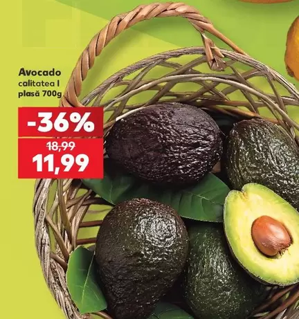 Avocado