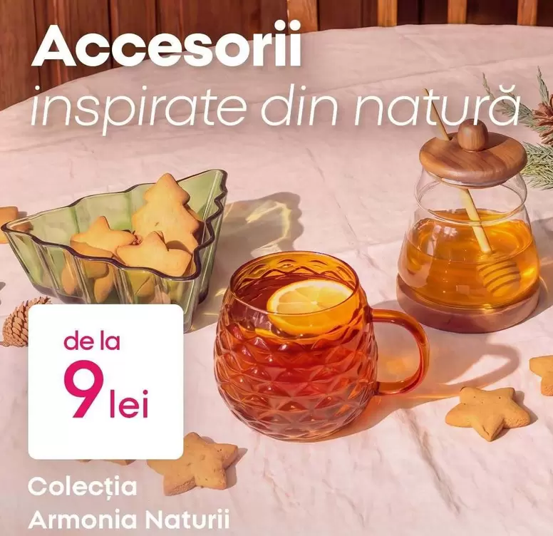 Accesorii