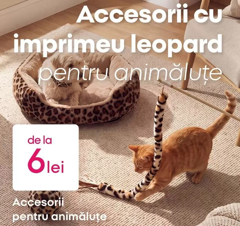 Accesorii cu imprimeu leopard pentru animale