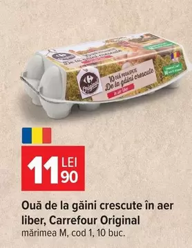 Ouă de la găini crescute în aer liber