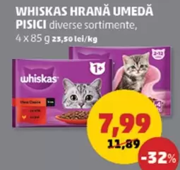 HRANĂ UMEDĂ PISICI diverse sortimente