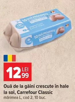 Ouă de la găini crescute în hale la sol, mărimea L, cod 2, 10 buc.