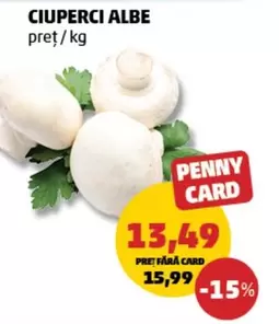 CIUPERCI ALBE