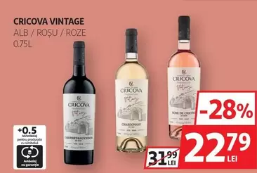 Alb - VINTAGE ALB / ROȘU / ROZE