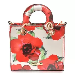 Geanta ALDO multicolor, REDROSES 932, din piele ecologica
