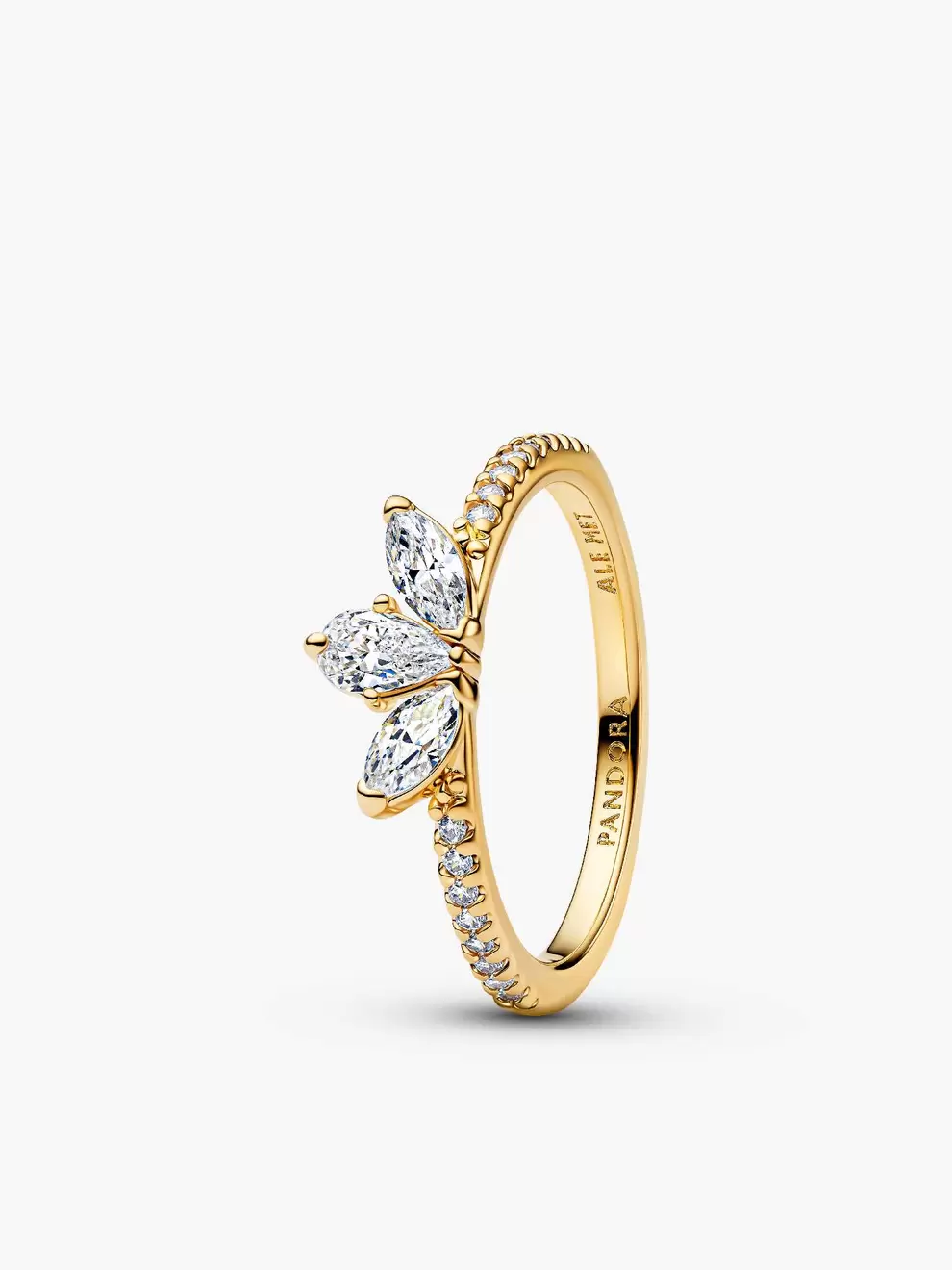 Inel strălucitor cu ierbar în elemente grupate