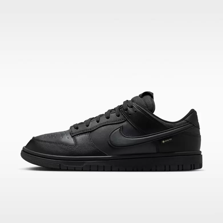 Nike Dunk Low GORE-TEX
