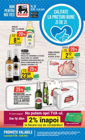 Catalog MEGA IMAGE Anina | Catalog MEGA IMAGE | 2025-07-08T00:00:00.000Z - 2025-08-10T00:00:00.000Z