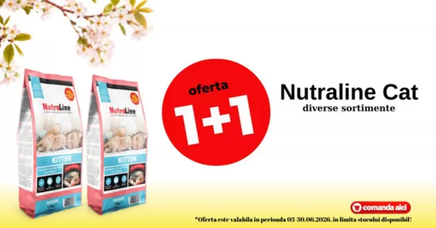 Catalog Zoomania București | Ofertele Lunii Iunie | 2026-06-03T00:00:00.000Z - 2026-06-30T00:00:00.000Z