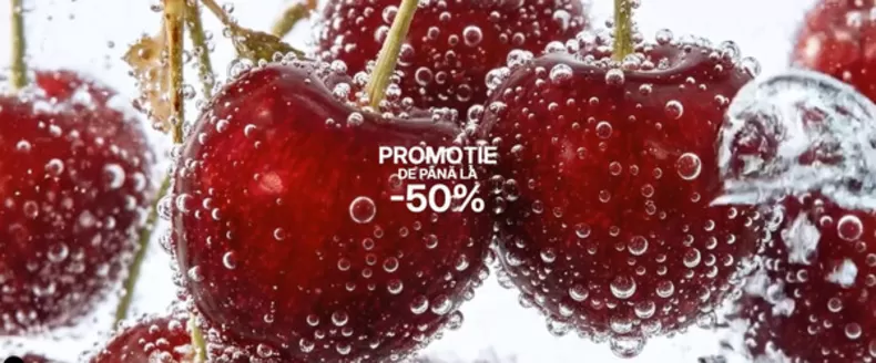 Catalog Terranova | Promoție de până la -50% | 2026-06-12T00:00:00.000Z - 2026-06-25T00:00:00.000Z