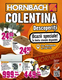 Catalog Hornbach Chitila | Catalogul special pentru colentina mai 2026 | 2026-06-30T00:00:00.000Z - 2026-07-14T00:00:00.000Z