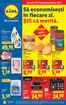 Catalog Lidl Satu Mare | pentru perioada 10.11-16.11.2025 | 2025-11-05T00:00:00.000Z - 2025-11-16T00:00:00.000Z