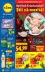 Catalog Lidl Ineu | pentru perioada 08.12-14.12.2025 | 2025-12-03T00:00:00.000Z - 2025-12-14T00:00:00.000Z