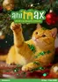 Catalog Animax București | Catalog Animax | 2025-12-04T00:00:00.000Z - 2026-01-04T00:00:00.000Z
