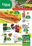 Catalog Diana | Revista Nr. 88 | 2026-05-18T00:00:00.000Z - 2026-05-31T00:00:00.000Z