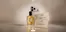 Catalog D&P Parfum Ovidiu | Cumpără și intri automat în tombola D&P | 2026-06-16T00:00:00.000Z - 2026-07-15T00:00:00.000Z