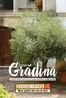 Catalog Hornbach Chitila | Catalogul special de plante aprilie 2026 | 2026-06-30T00:00:00.000Z - 2026-07-14T00:00:00.000Z