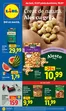 Catalog Lidl | de luni 13.07 până duminică 19.07 | 2026-07-13T00:00:00.000Z - 2026-07-19T00:00:00.000Z