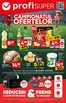 Catalog PROFI | Revista Profi Super | 2026-07-09T00:00:00.000Z - 2026-07-21T00:00:00.000Z