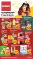 Catalog Penny | Catalog Penny Market | 2026-08-19T00:00:00.000Z - 2026-08-25T00:00:00.000Z