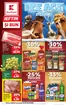 Catalog Kaufland Măcin | Catalog Kaufland până în data de 22.09.2026 | 2026-09-16T00:00:00.000Z - 2026-09-22T00:00:00.000Z