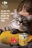 Catalog Carrefour | Oferte de top pentru toți vânătorii de chilipiruri | 2026-09-23T00:00:00.000Z - 2026-10-06T00:00:00.000Z