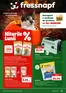 Catalog Fressnapf | Catalog Fressnapf până în data de 21.10.2026 | 2026-10-08T00:00:00.000Z - 2026-10-21T00:00:00.000Z