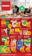 Catalog Penny | Catalog Penny | 2026-10-28T00:00:00.000Z - 2027-02-09T00:00:00.000Z