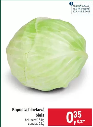 Kapusta hlávková biela