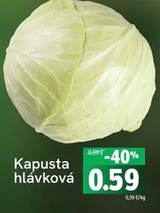 Kapusta hlávková