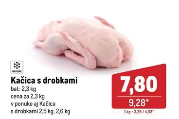 Kačica s drobkami