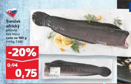 Sumček africký pitvaný bez hlavy