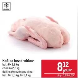 Kačica bez drobkov