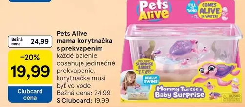 Baby - mama korytnačka s prekvapením