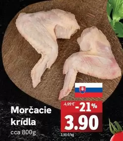Morčacie krídla