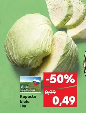 Kapusta biela