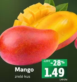 Mango