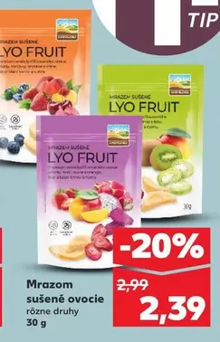 Mrazom sušené ovocie