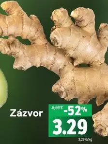 Zázvor