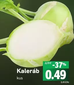 Kaleráb