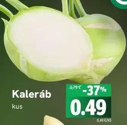Kaleráb