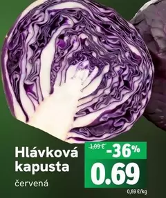 Hlávková kapusta