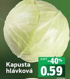 Kapusta hlávková