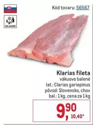 Klarias fileta