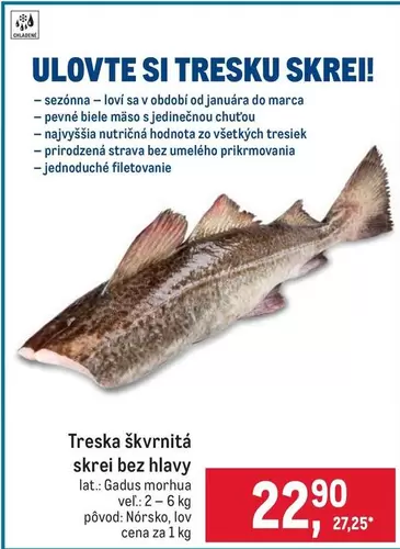 Treska škvrnitá skrei bez hlavy