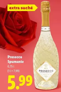 Prosecco - Spumante