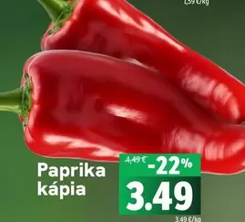 Paprika kápia