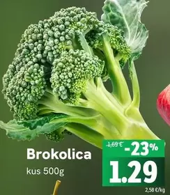 Brokolica
