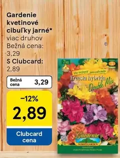 Mix - kvetinové cibuľky jarné*